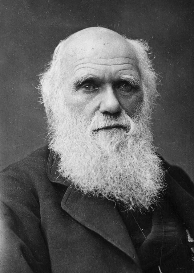 Charles Darwin Portrait