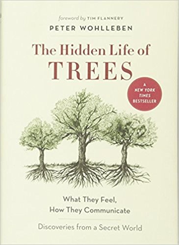 The Hidden Life Of Trees Cover